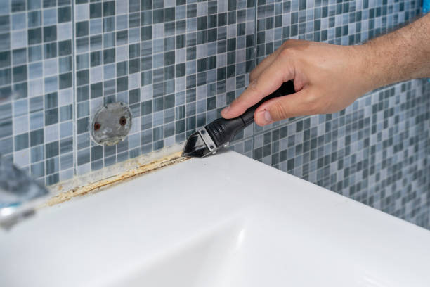 Best Emergency Mold Removal  in East Massapequa, NY
