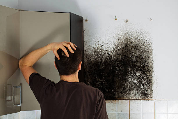 Best Crawl Space Mold Removal  in East Massapequa, NY
